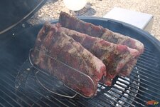 8-ribs-drauf-jpg.jpg