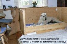 Wurfkiste-T.jpg