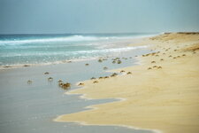 Boavista Panoramic (103).jpg